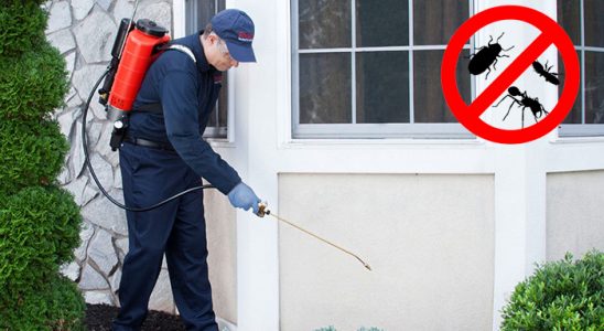 Kemalpaşa Böcek ve Haşere İlaçlama böcek ilaçlama ve haşere kontrolü — ilaclama-tr.com